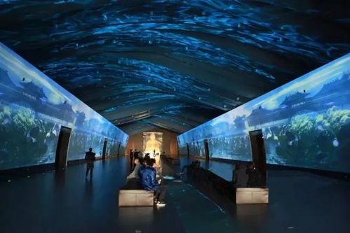 科技賦能，連接古今 探索博物館發展的新趨勢