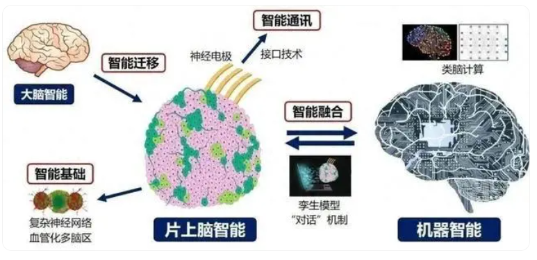國產腦機接口技術突破引矚目,微美全息(WIMI.US)持續科研深耕引領產業創新浪潮